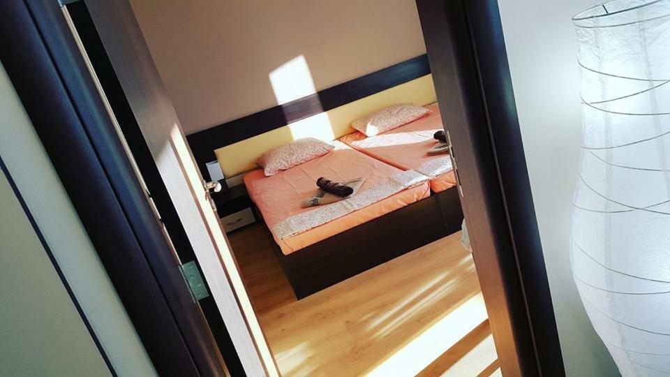 Апартамент Cacao Residence Sunny Beach Eksteriør billede